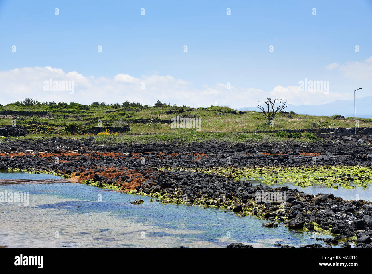 Paysage de Joham Coast Road dans Jocheon-eup, Jeju. En raison de son terrain volcanique, la côte de l'île de Jeju sont principalement composés de basalte. Banque D'Images