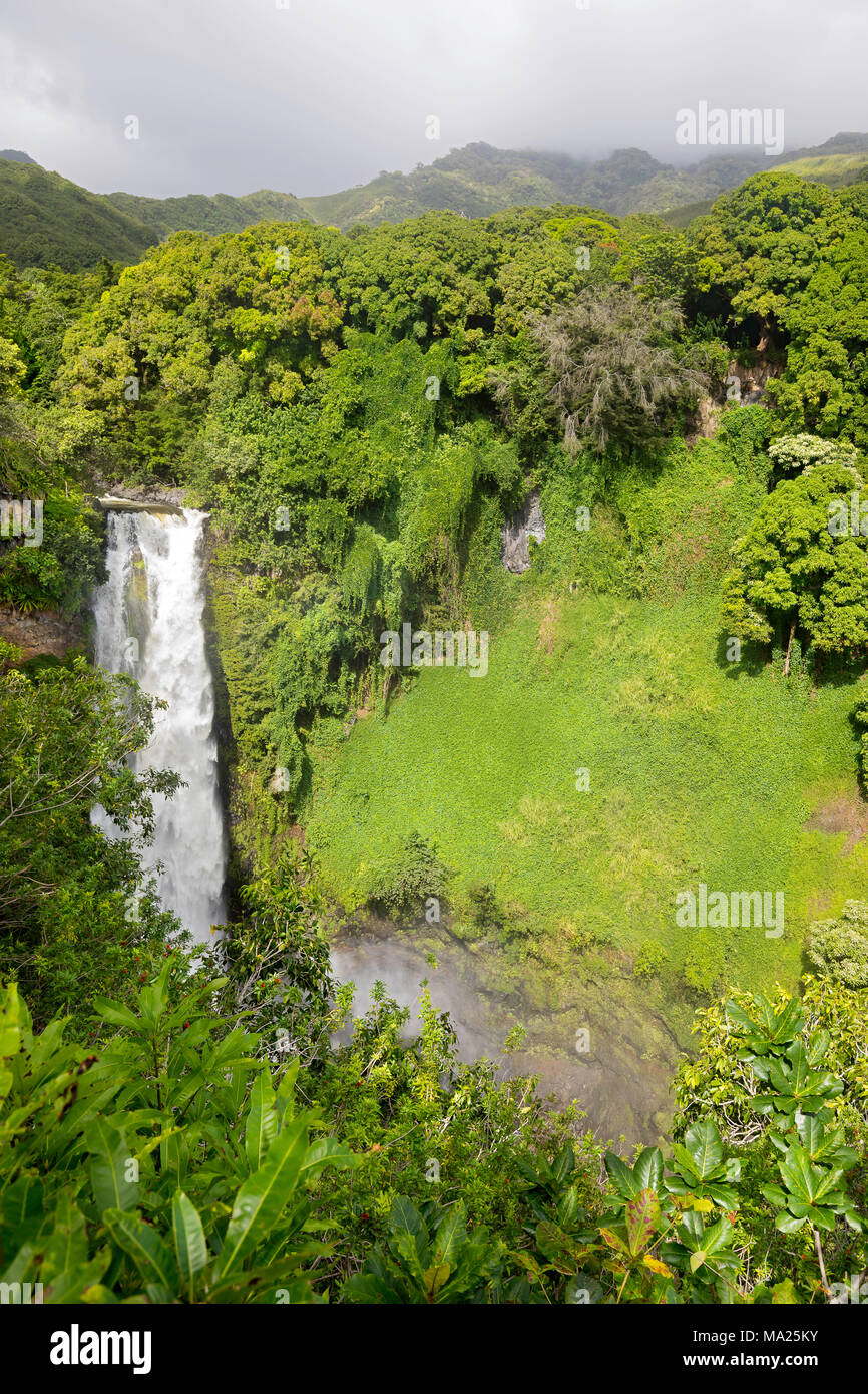 Makahiku Falls est une cascade de 61 mètres de la prêle et l'une des plus impressionnantes chutes d'eau le long du sentier en Pipiwai Ohe'o Gulch, National Haleakala Banque D'Images