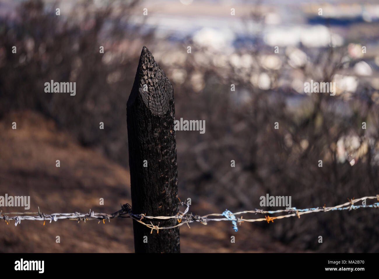 Dommages aux biens incendie colline d'ajoncs Banque D'Images