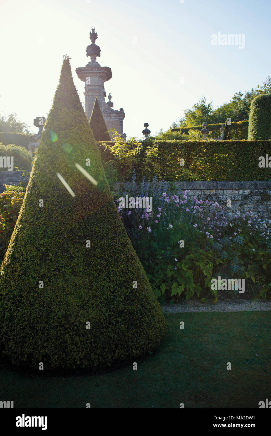 En herbe de forme conique et de Chateau de Brecy jardin, France Banque D'Images