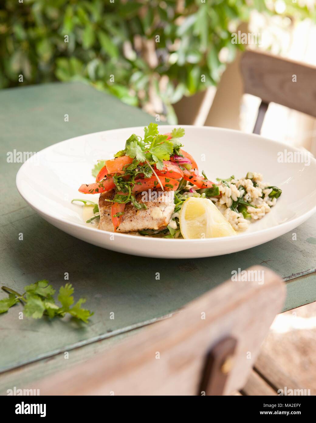 Le poisson sur un lit de risotto à la tomate et à la coriandre, Café Paradiso, Cape Town, Afrique du Sud Banque D'Images