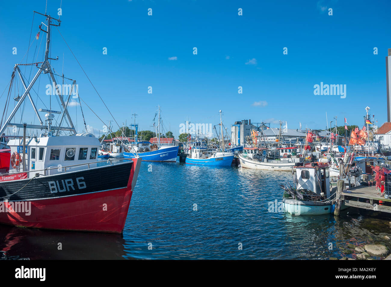 Port de pêche, Burgstaaken, Ostholstein, Schleswig-Holstein, la mer Baltique, l'Allemagne, de l'Europe Banque D'Images