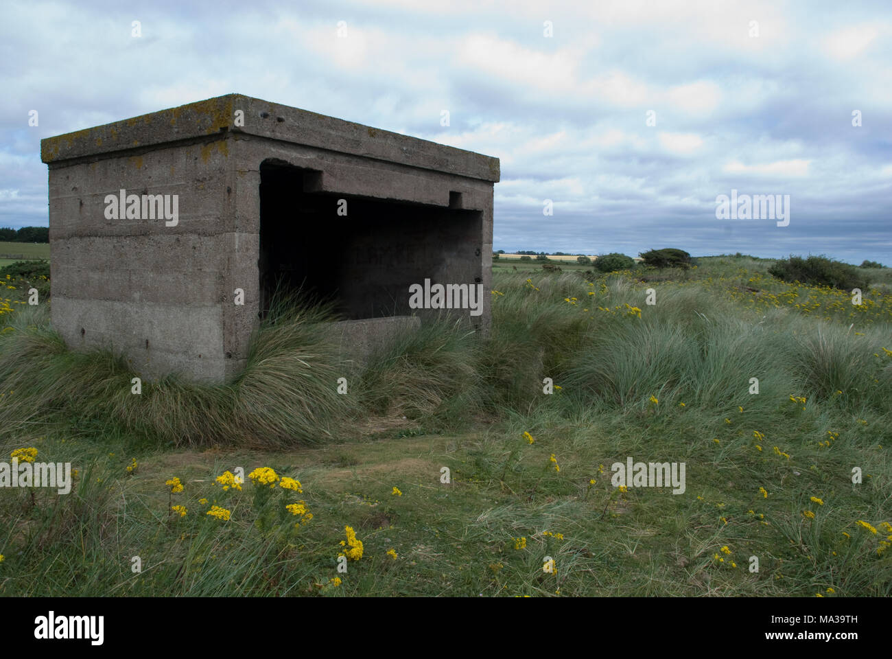 Deuxième installation en béton de la seconde Guerre mondiale sur la côte de Northumberland située parmi les dunes de sable Banque D'Images