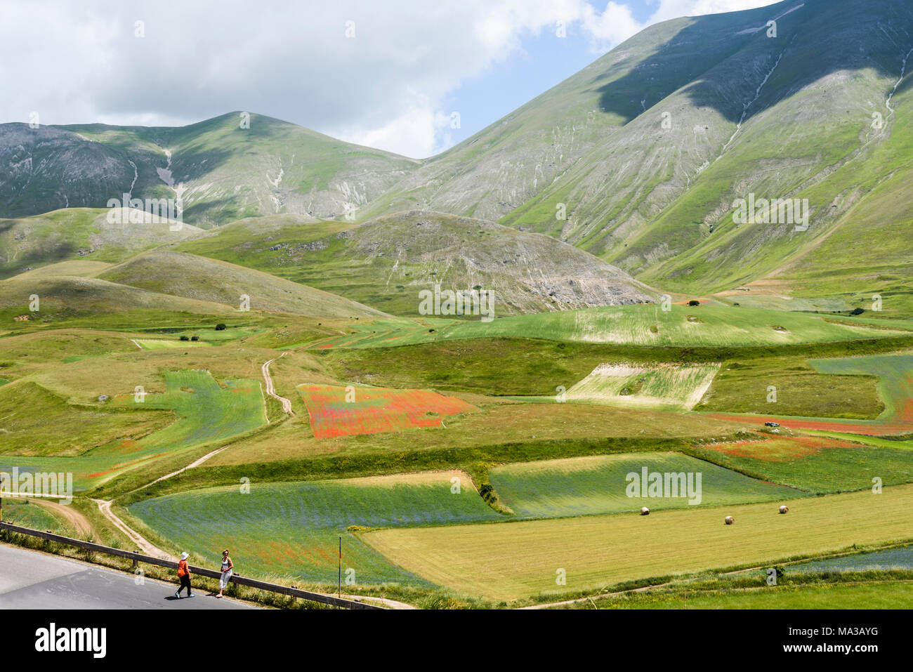 Vue sur le mont Sibillini, Castelluccio di Norcia, Ombrie, Italie. Banque D'Images