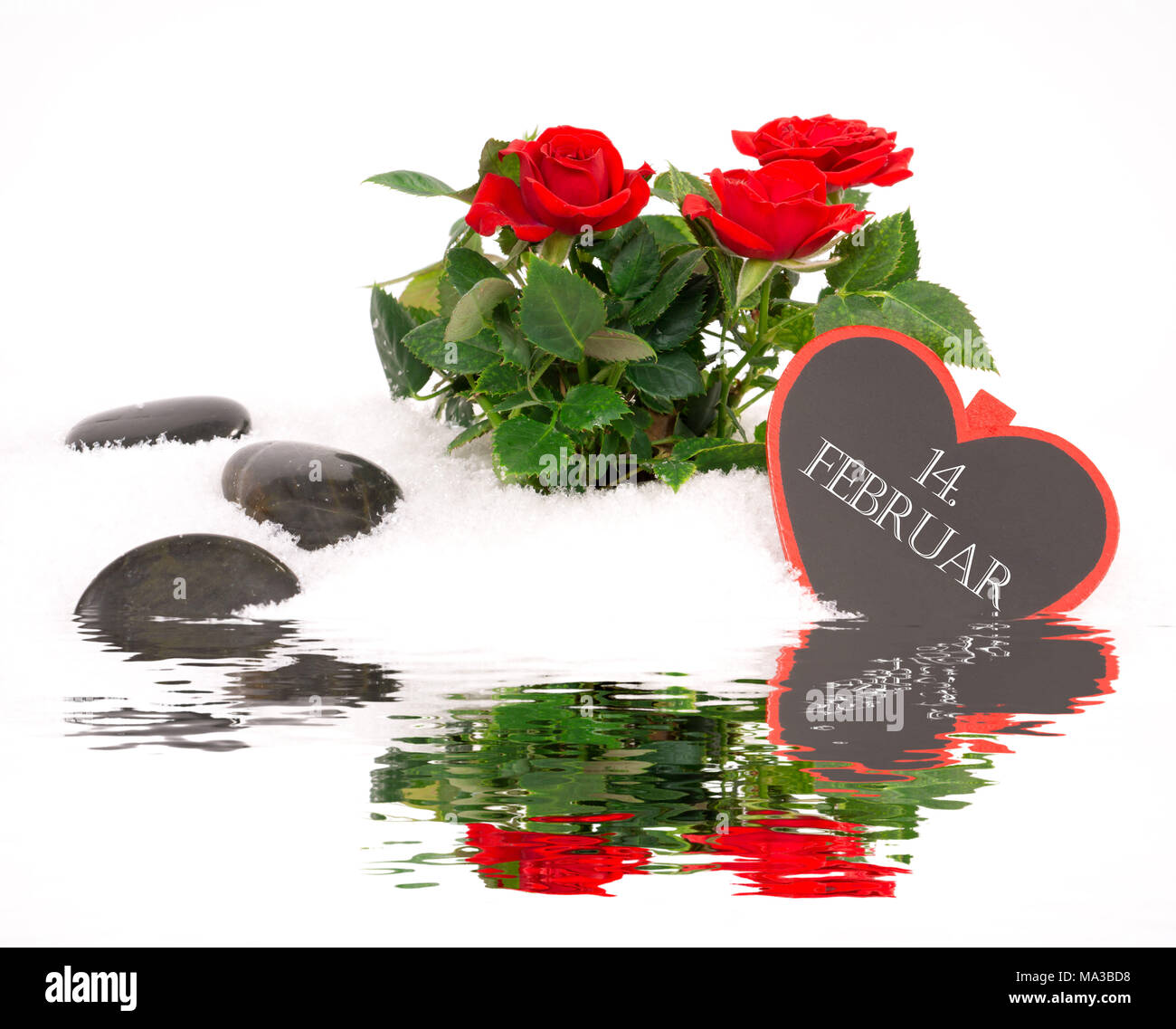 Message d'accueil de la Saint-Valentin avec des roses Banque D'Images