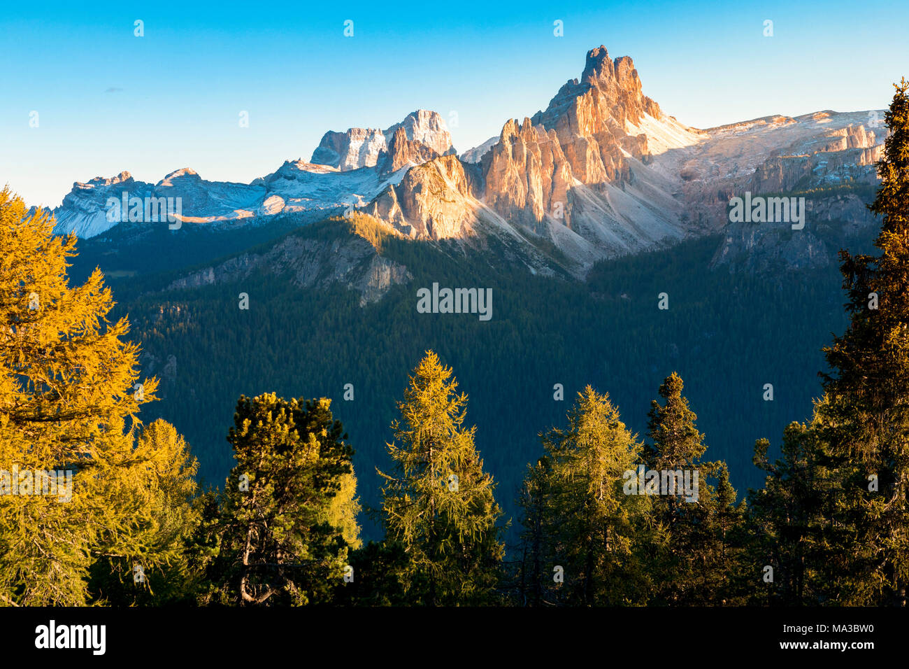 Croda da Lago et le mont Pelmo encadré par les arbres, Dolomites, Cortina d'Ampezzo, Belluno, Veneto, Italie Banque D'Images