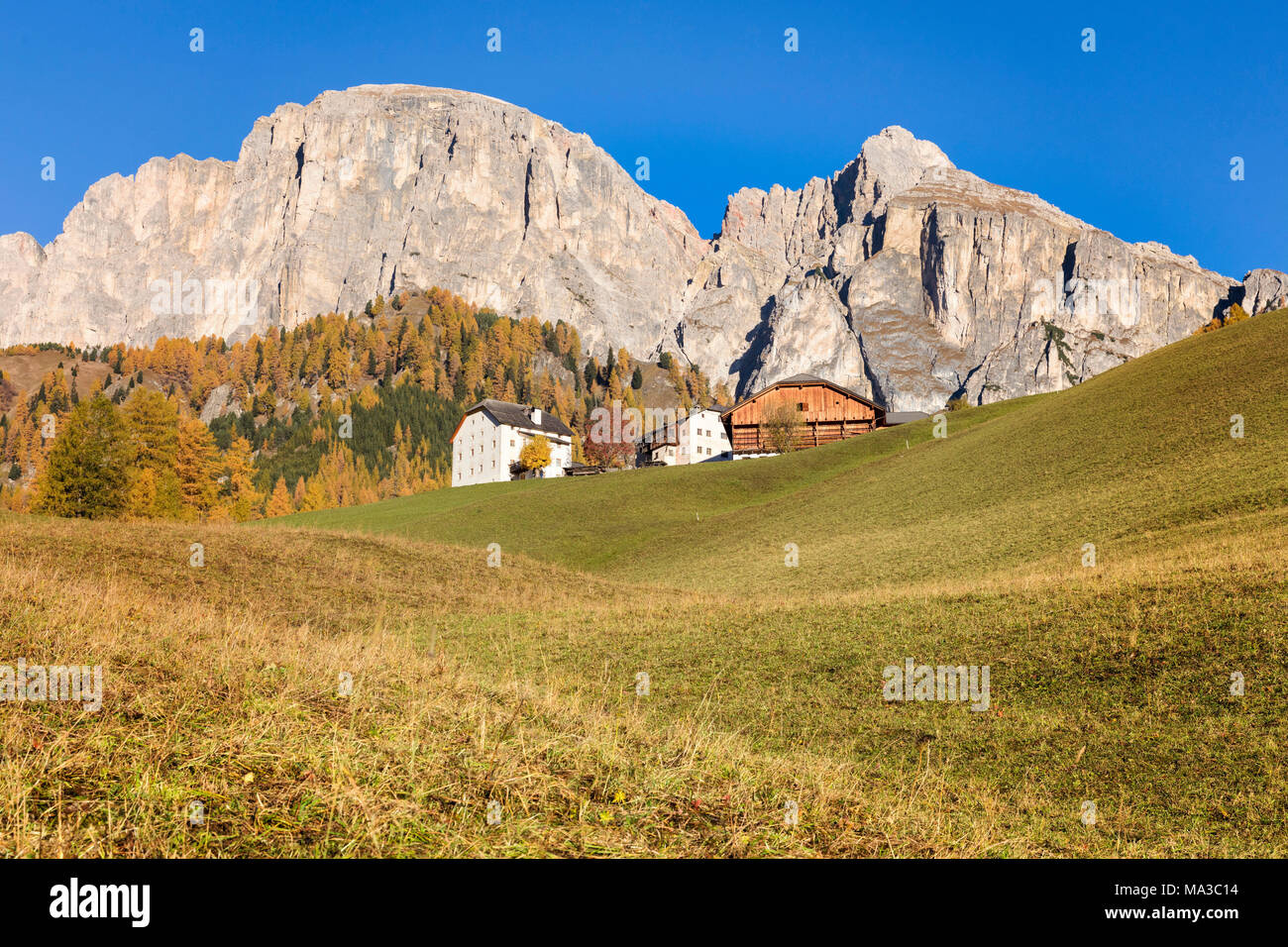 Maisons traditionnelles en dessous du Sass Ciampac da, groupe Puez, Colfosco / Calfosch, Gadertal, Alta Badia, Dolomites, le Tyrol du Sud, Italie Banque D'Images