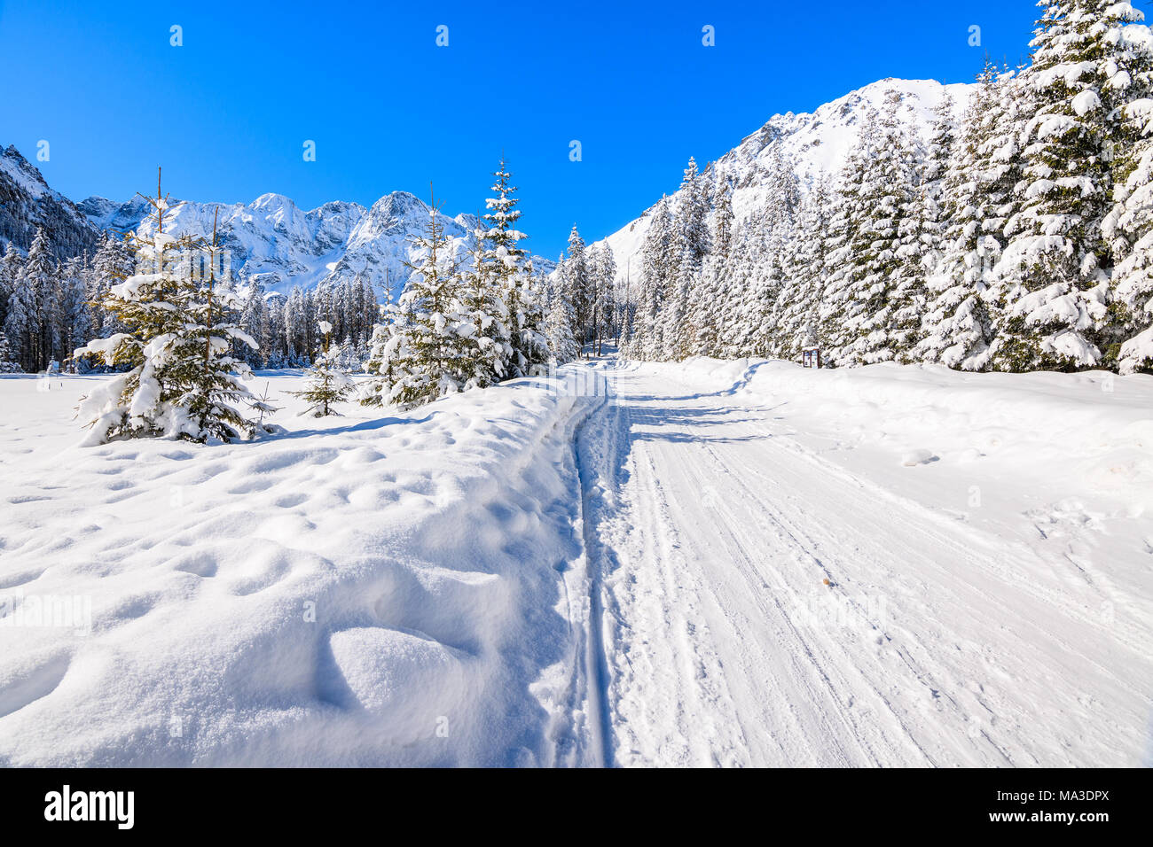 Route enneigée de Morskie Oko lac en hiver, Tatras, Pologne Banque D'Images