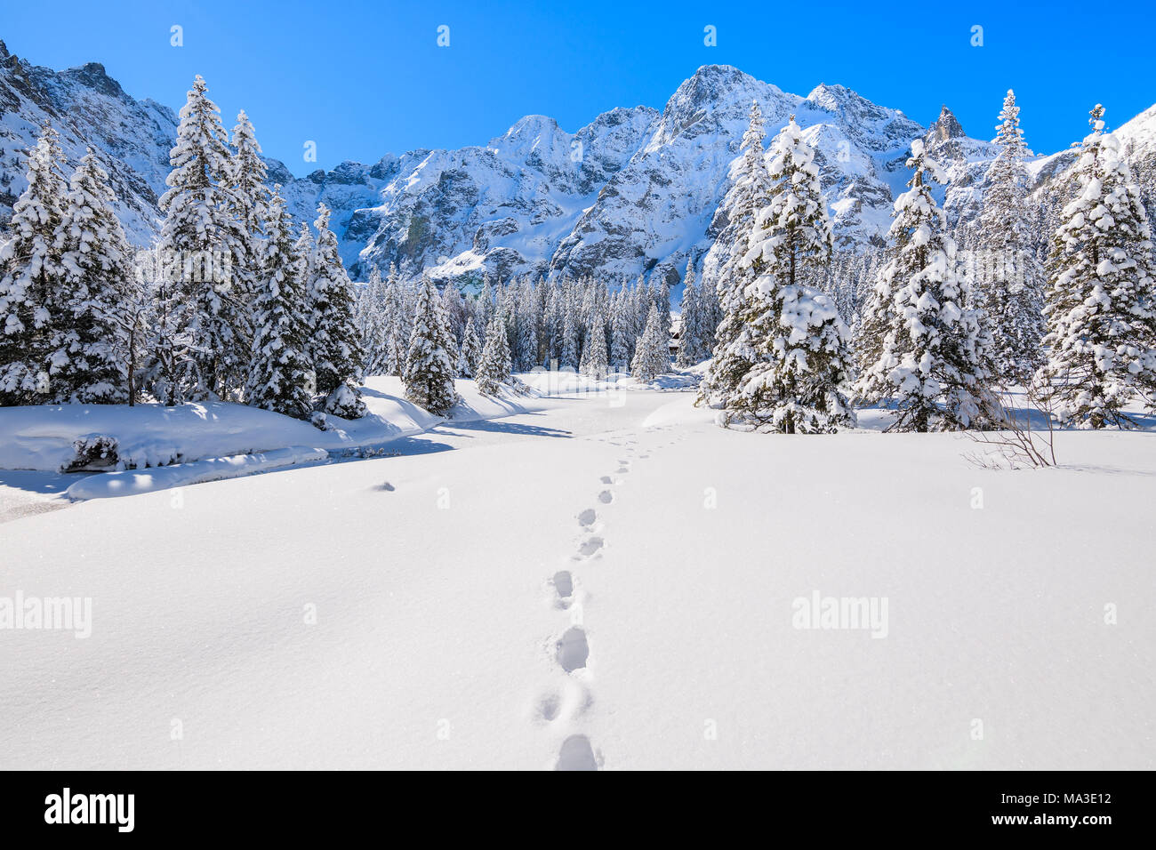 Des traces de pas dans la neige fraîche près du lac Morskie Oko en saison d'hiver, Tatras, Pologne Banque D'Images