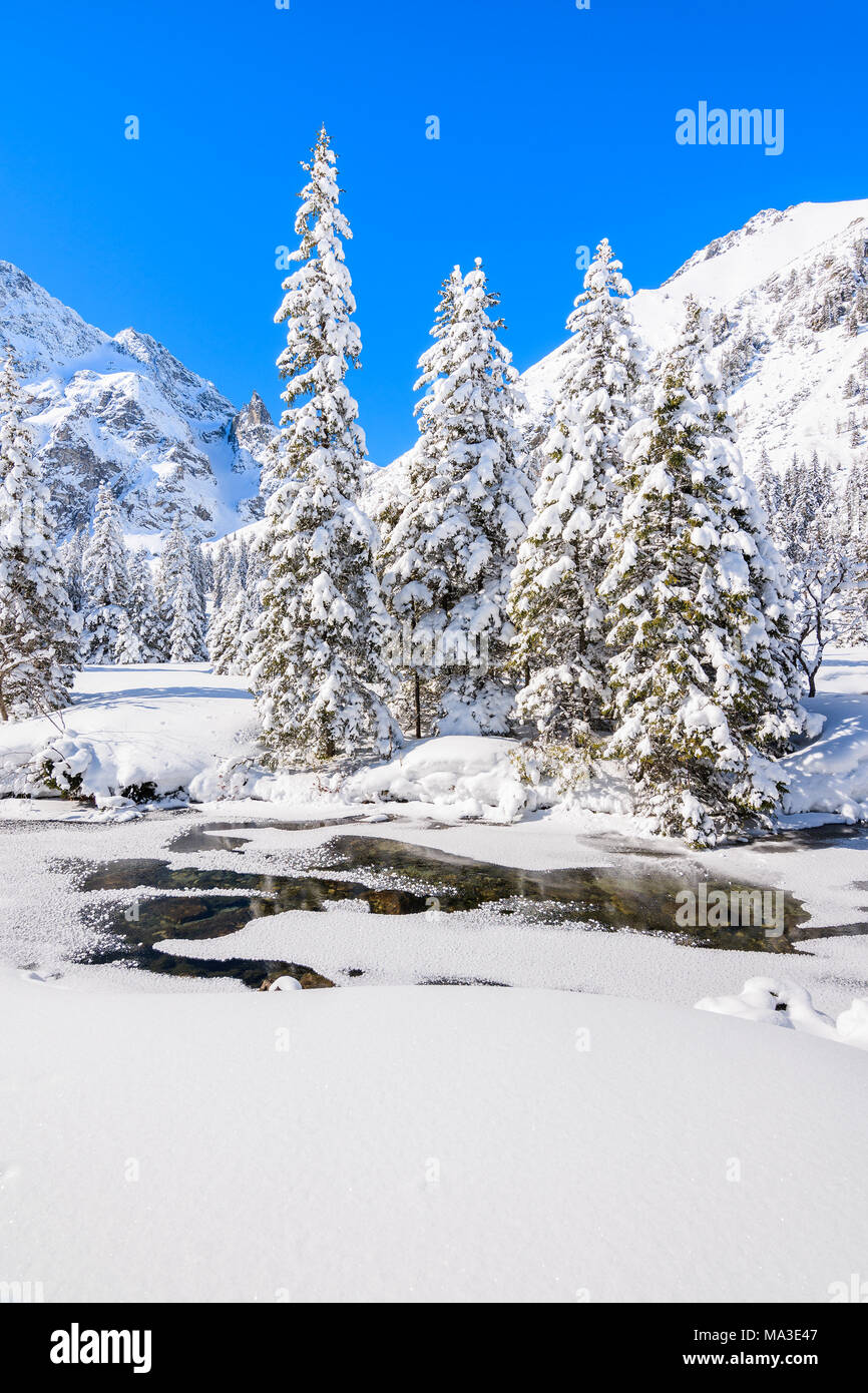 Paysage d'hiver dans la vallée près du lac Morskie Oko, Tatras, Pologne Banque D'Images
