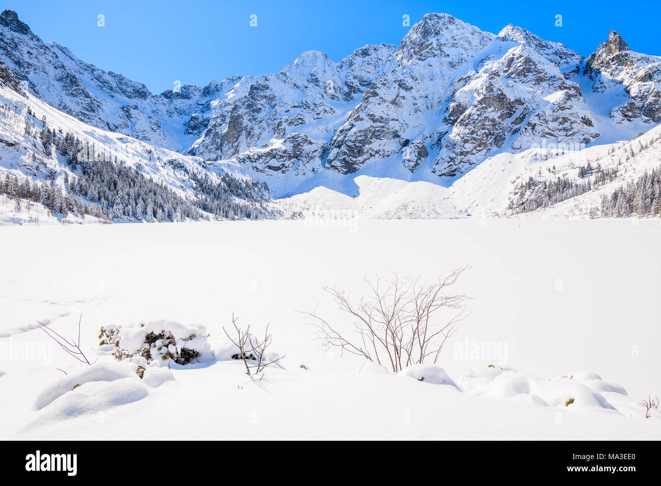 Le lac Morskie Oko gelé en hiver, les montagnes Tatras, Pologne Banque D'Images
