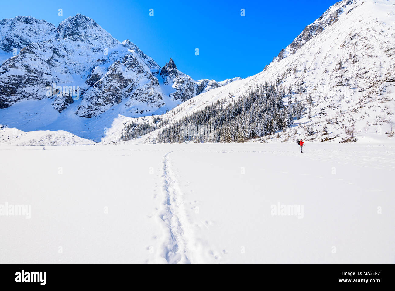 L'homme non identifié sur le lac Morskie Oko gelés en hiver paysage, Tatras, Pologne Banque D'Images