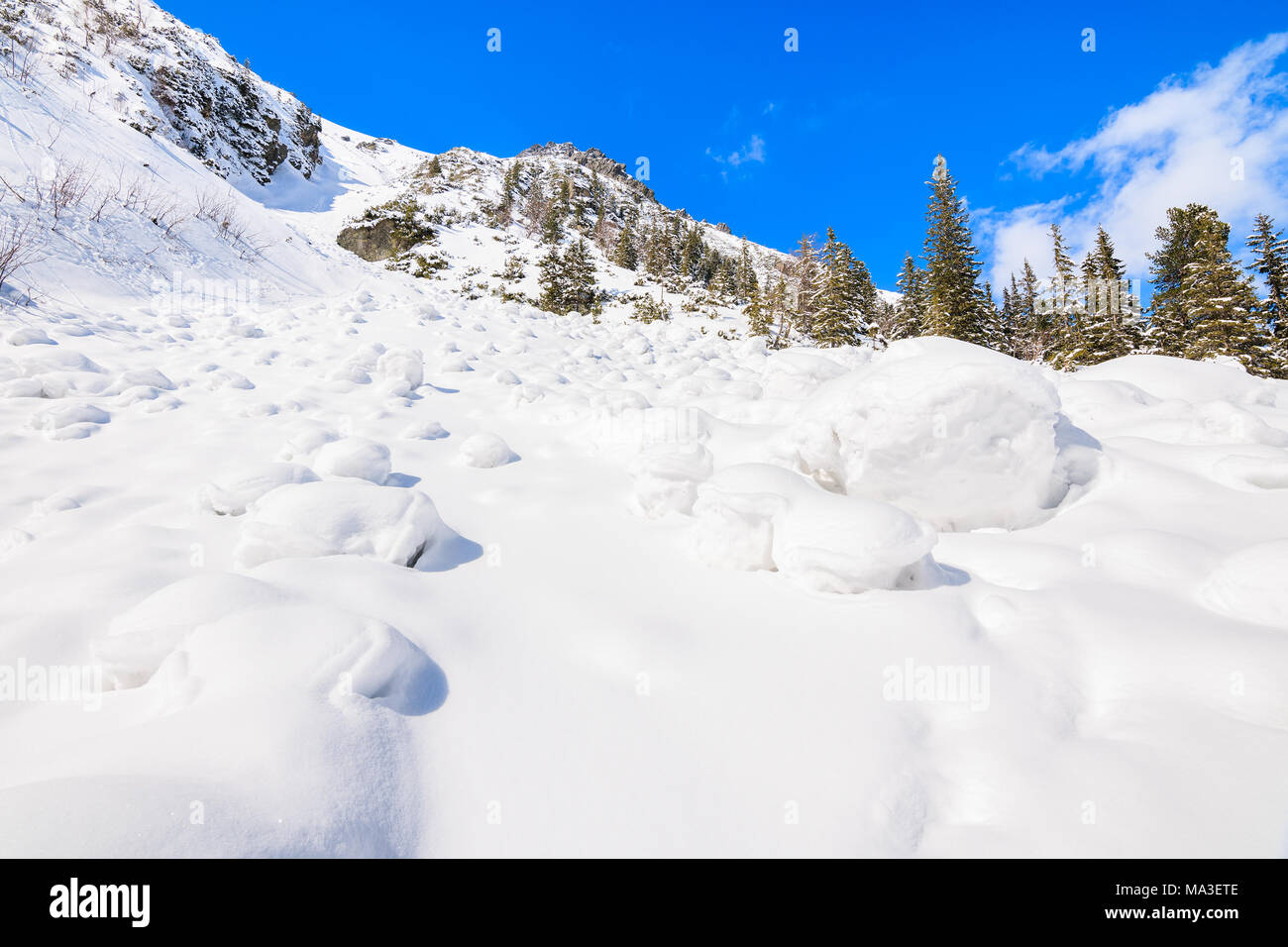 Paysage d'hiver dans la vallée près du lac Morskie Oko, Tatras, Pologne Banque D'Images
