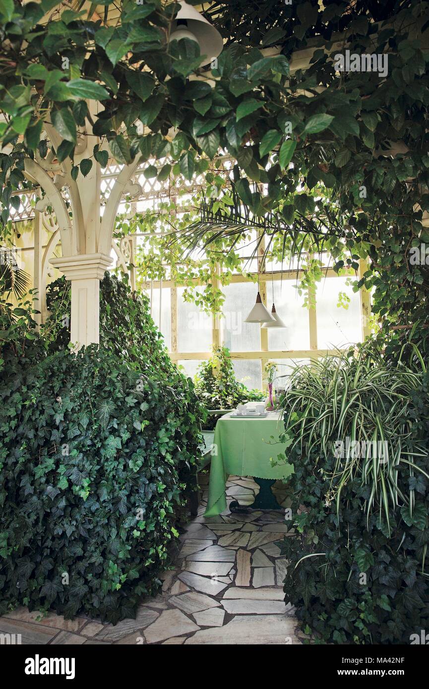 Le salon de thé dans le palm house à Ksiaz château dans la vallée de Jelenia Góra en Pologne Banque D'Images