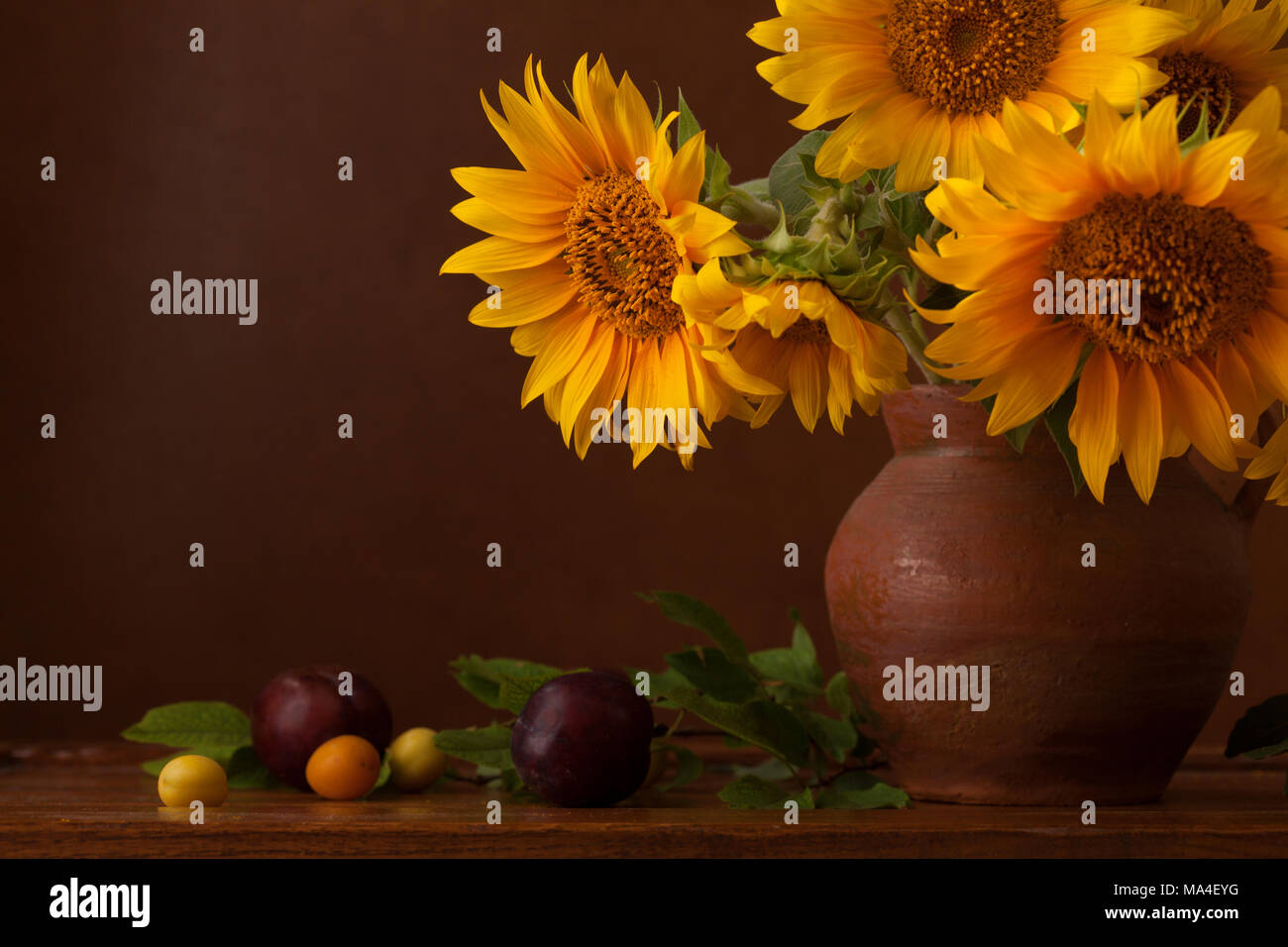 Bouquet de tournesols et de cerise mûre prunes avec copie espace. Fragment. Se concentrer sur la fleur de gauche Banque D'Images