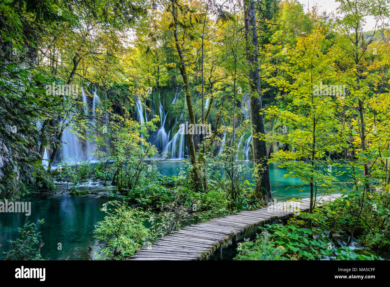 La Croatie, la Croatie centrale, Plitvicka Jezera, Plitvice Lakes National Park, Upper Lakes Banque D'Images