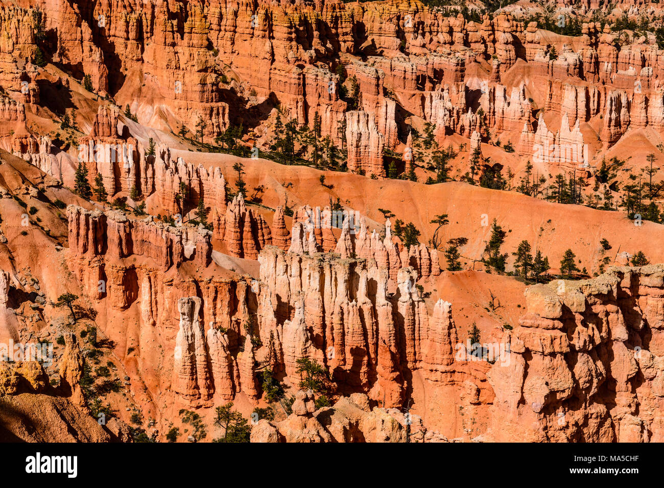 USA, Utah, Garfield Comté, Bryce Canyon National Park, Sunset Point, amphithéâtre Banque D'Images