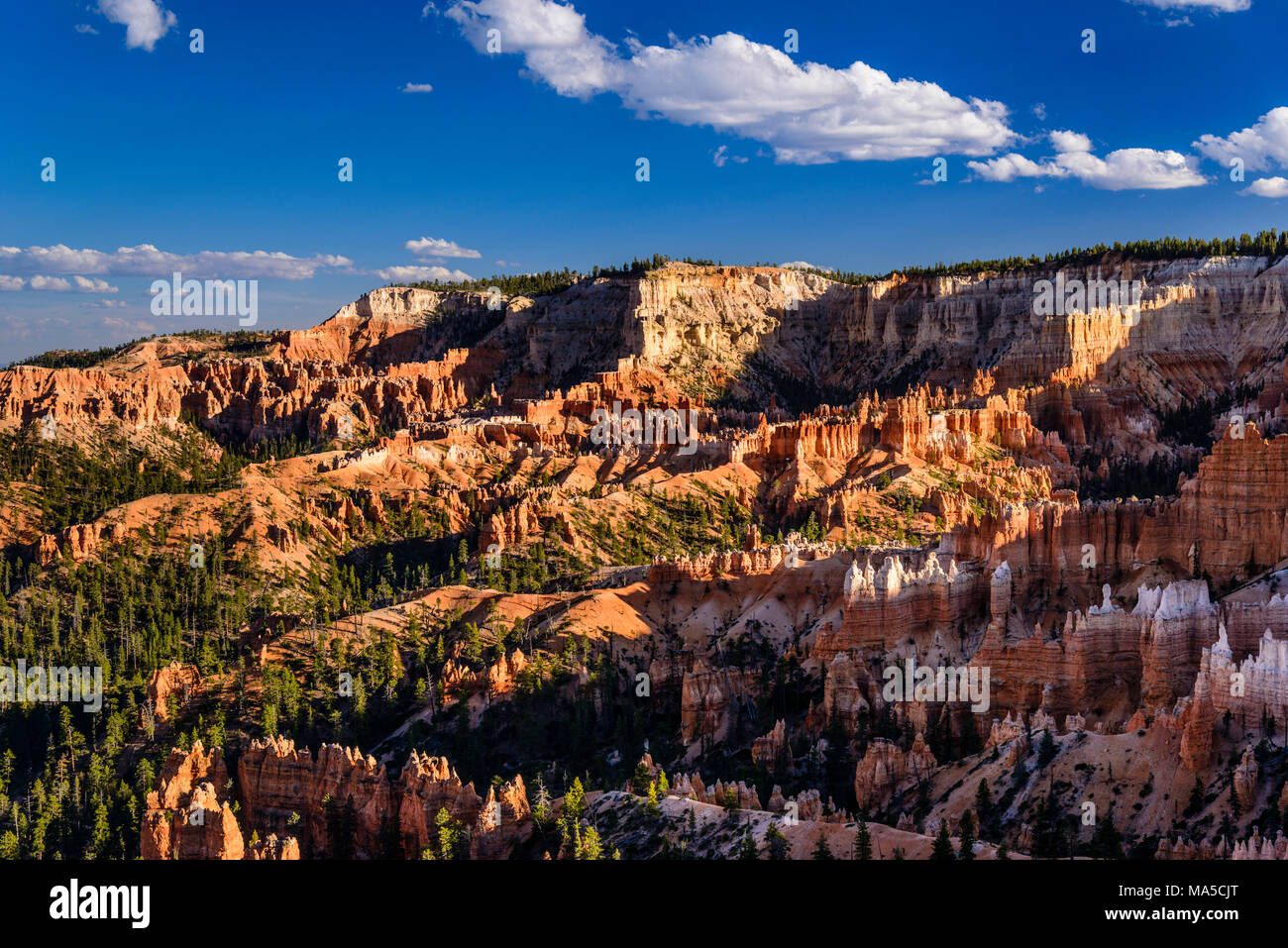 USA, Utah, Garfield Comté, Bryce Canyon National Park, Sunrise Point, Amphitheatre Banque D'Images