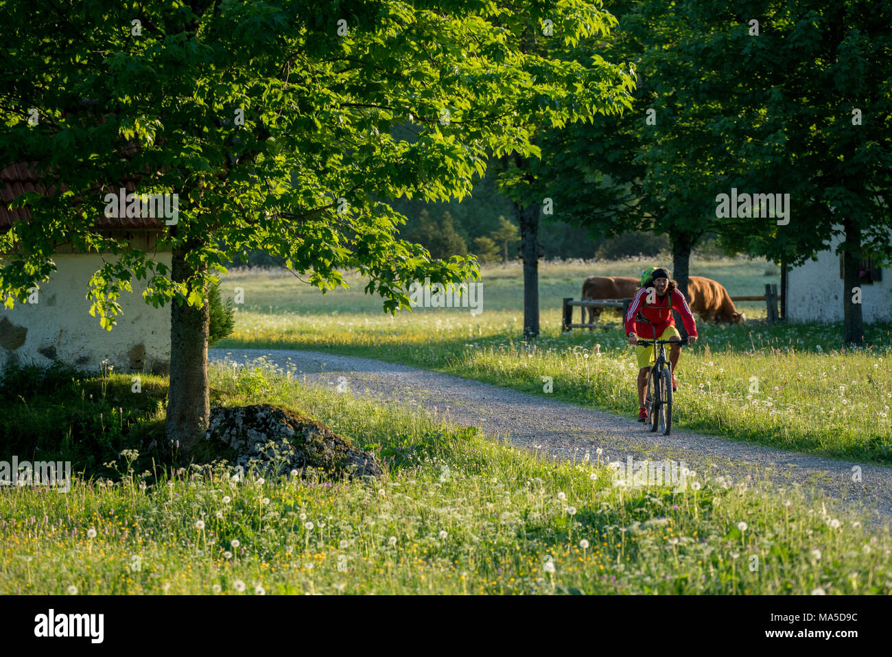 Vtt dans la scène, Längental Leggries fermer (municipalité), Alpes bavaroises, Bavière, Allemagne Banque D'Images