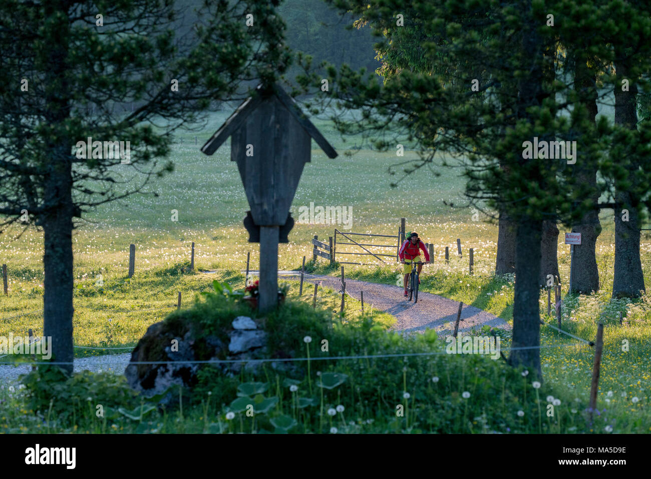 Vtt dans la scène, Längental Leggries fermer (municipalité), Alpes bavaroises, Bavière, Allemagne Banque D'Images