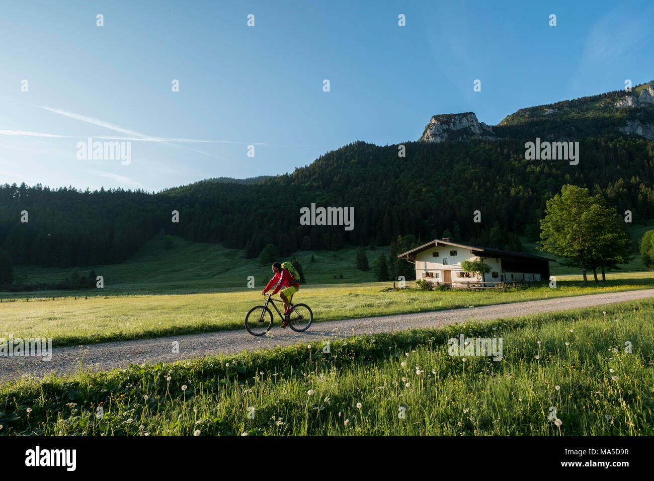 Vtt dans la scène, Längental Leggries fermer (municipalité), Alpes bavaroises, Bavière, Allemagne Banque D'Images