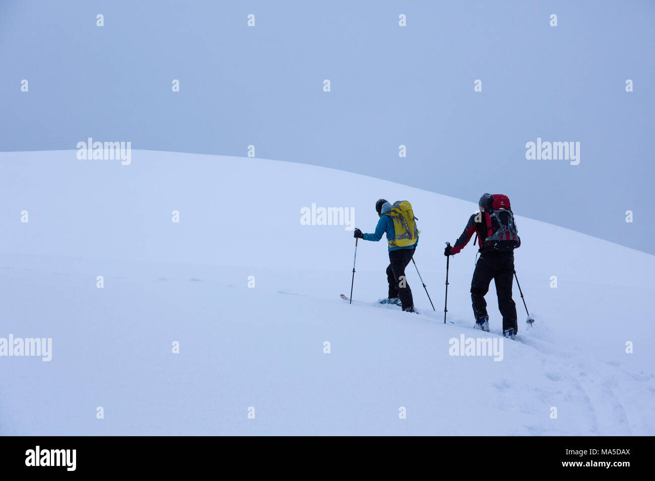 Alors que l'escalade ski de randonnée le Lenggrieser Hütte (HUT) en hiver, Lenggries, Préalpes bavaroises, Bavière, Allemagne Banque D'Images