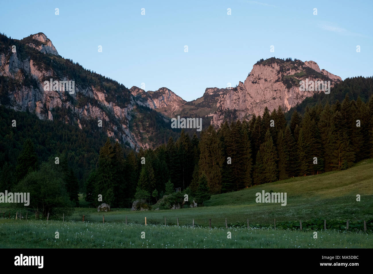 Dans Längental Probstenwand au lever du soleil, à proximité Leggries (municipalité), Alpes bavaroises, Bavière, Allemagne Banque D'Images