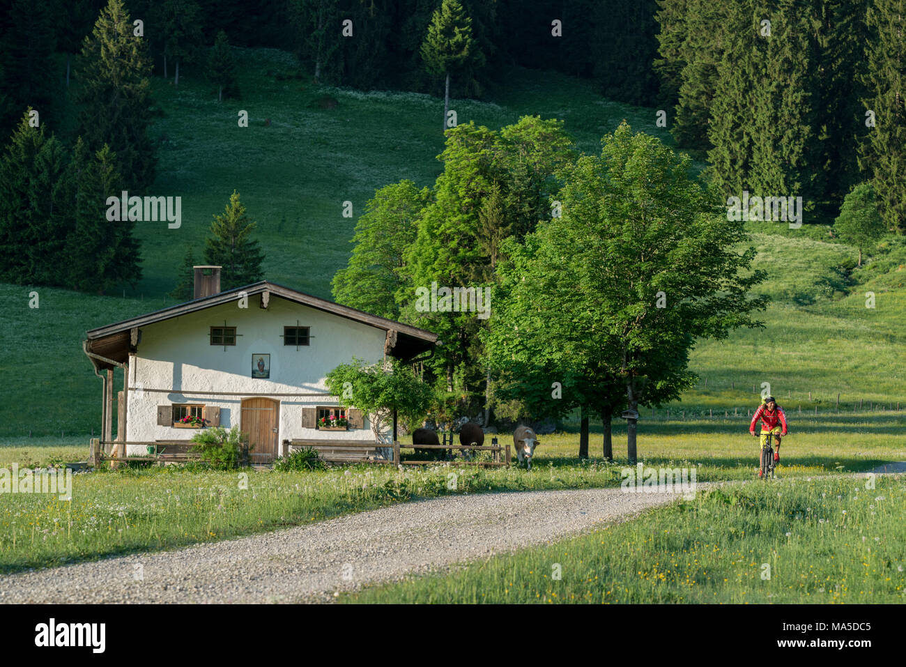 François Längentalalm (HUT) dans le Längental Leggries, fermer (municipalité), Alpes bavaroises, Bavière, Allemagne Banque D'Images