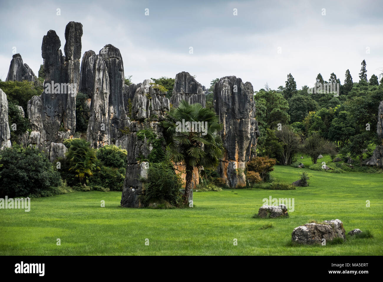 Forêt de pierre de Shilin ou, Kunming, Province de Yunnan, Chine, Asie, Asiatique, l'Asie orientale, Extrême-Orient Banque D'Images