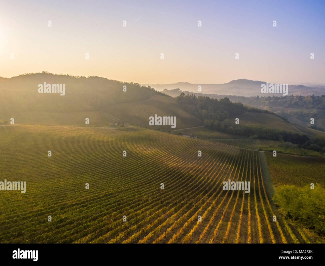 Oltrepo Pavese, province de Pavie, Lombardie, Italie. Banque D'Images