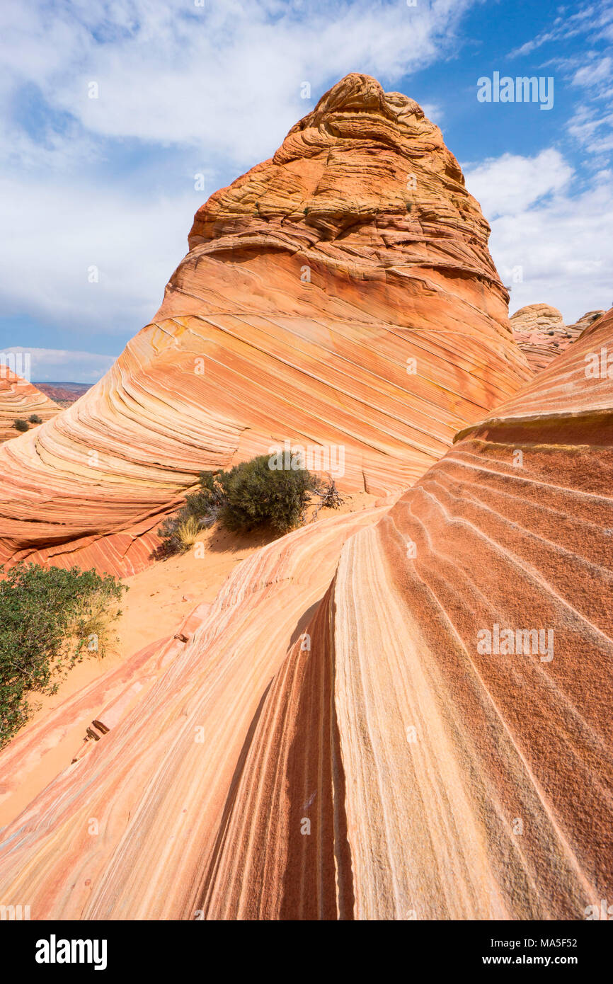 La Vague, Coyote Buttes North, du Plateau du Colorado, Arizona, USA Banque D'Images