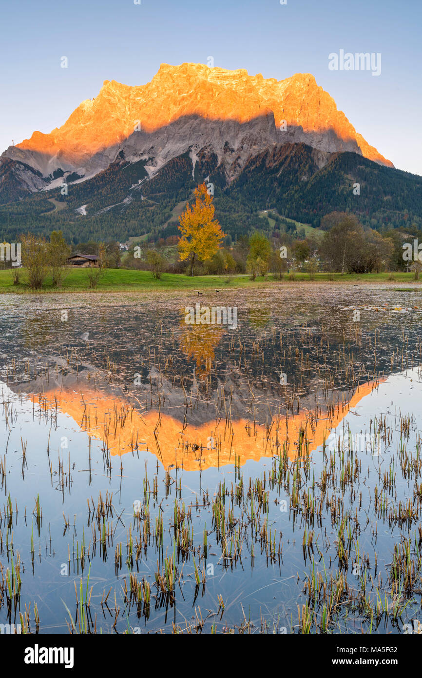 Ehrwald, district de Reutte, Tyrol, Autriche, Europe. Banque D'Images