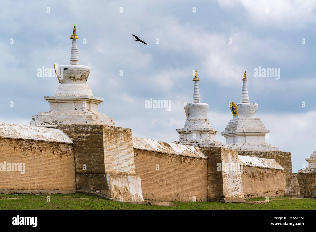 Aigle volant au-dessus de la Mongolie Zuu monastère. Harhorin, province du Sud, la Mongolie. Hangay Banque D'Images
