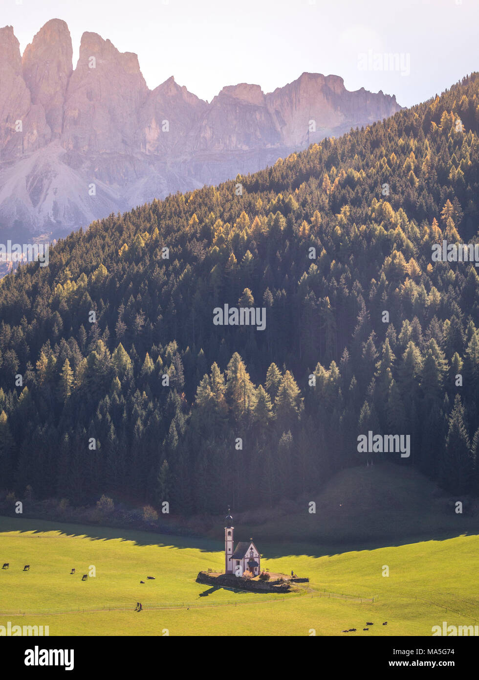 Funes Vallée avec San Giovanni saintes Église. Parc Naturel Puez Odle, Tyrol du Sud, Italie Banque D'Images