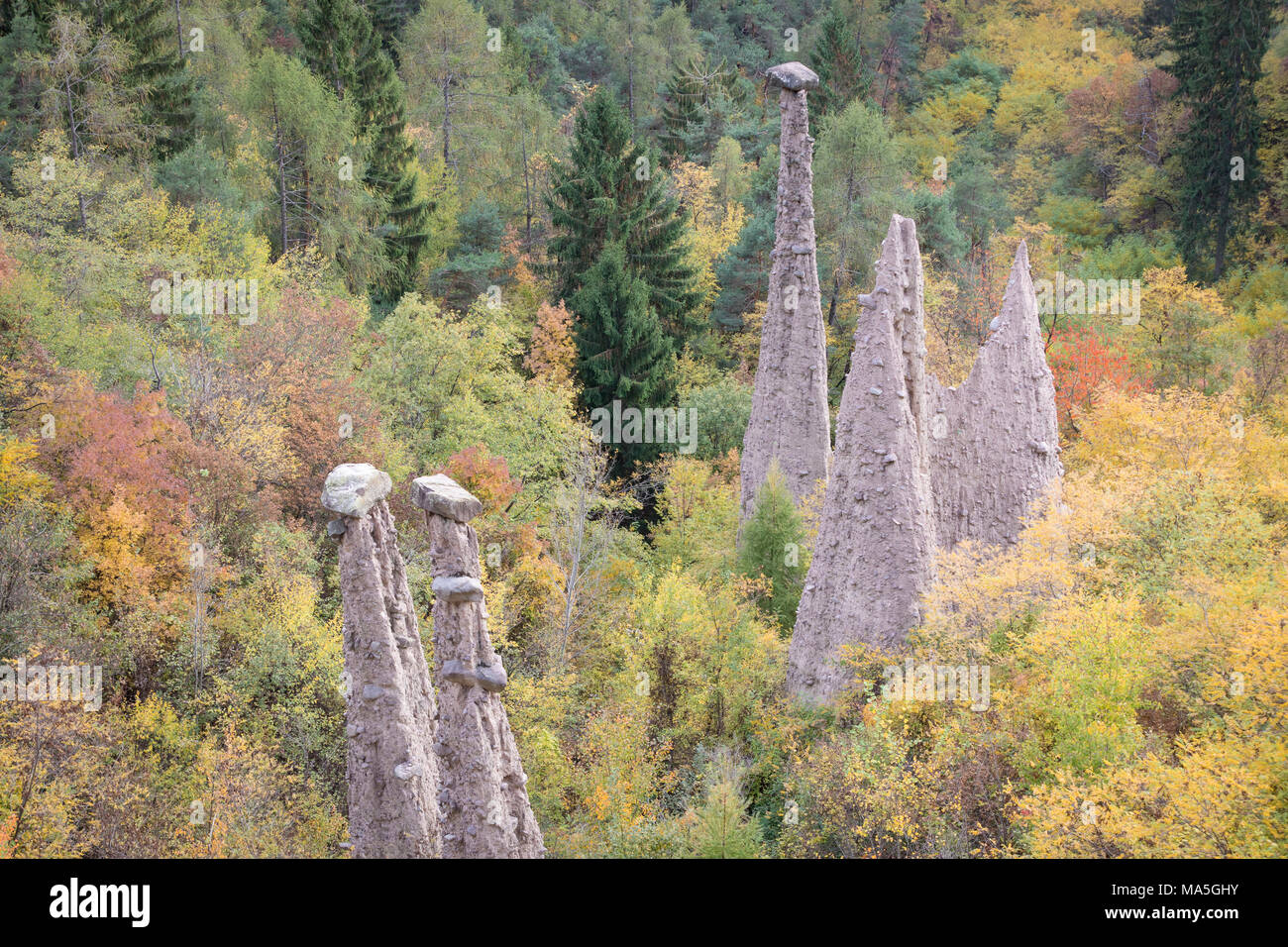 Avis de cembra Valley en automne et pyramides Segonzano, District du Trentin, Italie Banque D'Images
