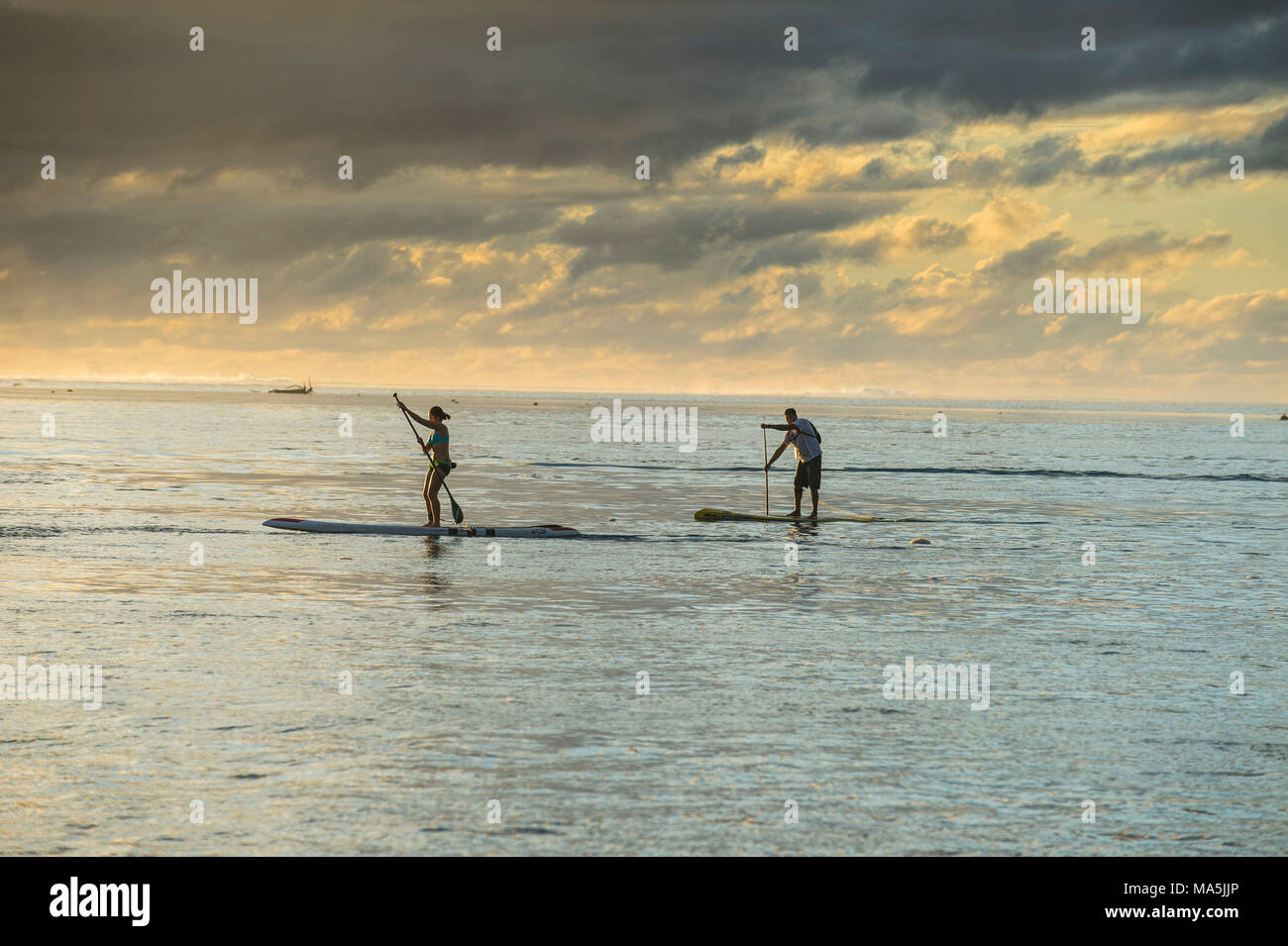 Stand up paddlers working out at sunset avec Moorea en arrière-plan, Papeete, Tahiti, Polynésie Française Banque D'Images