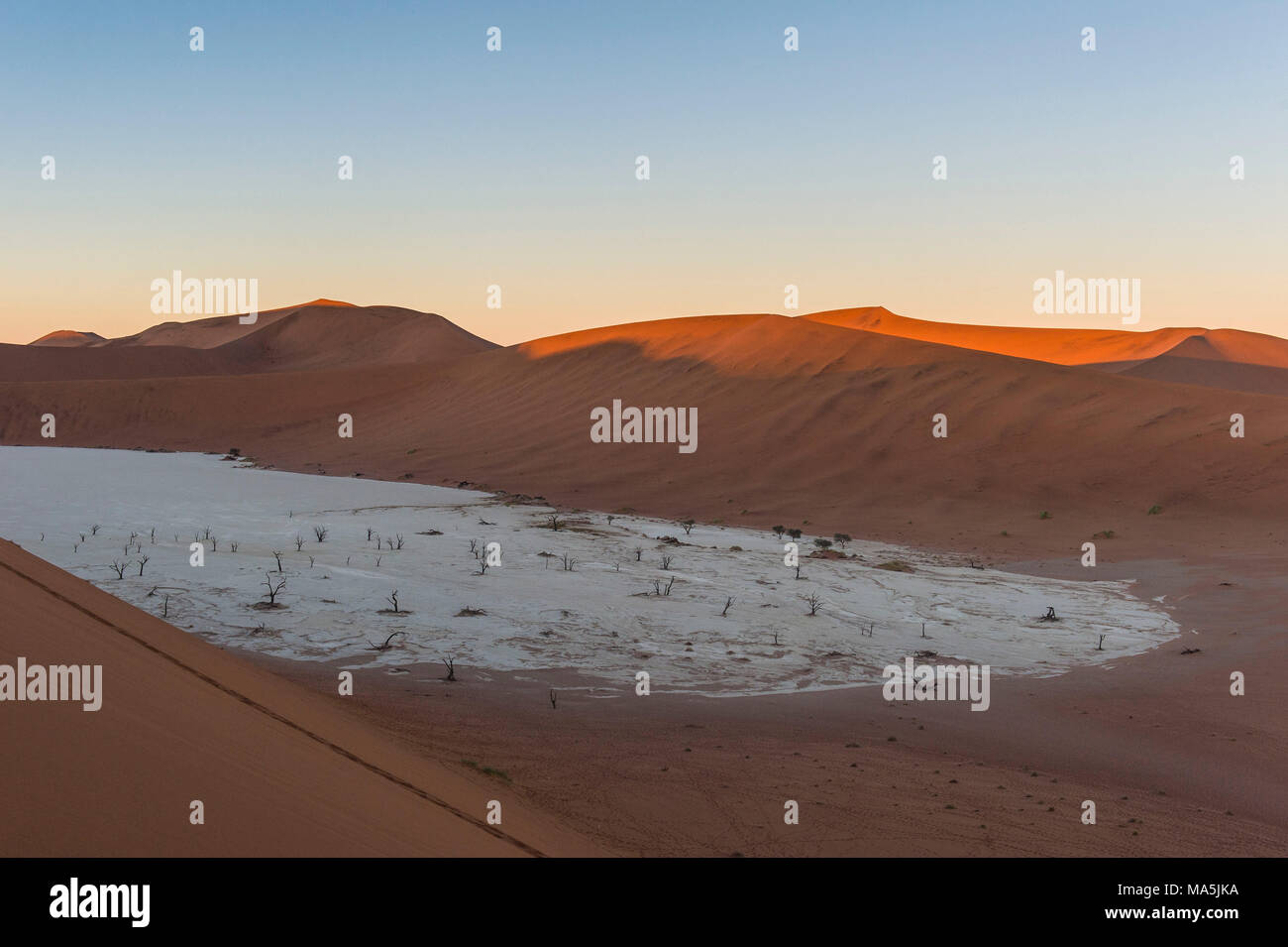 Deadvlei, un ancien lac asséché, dans le désert du Namib, Namibie Banque D'Images