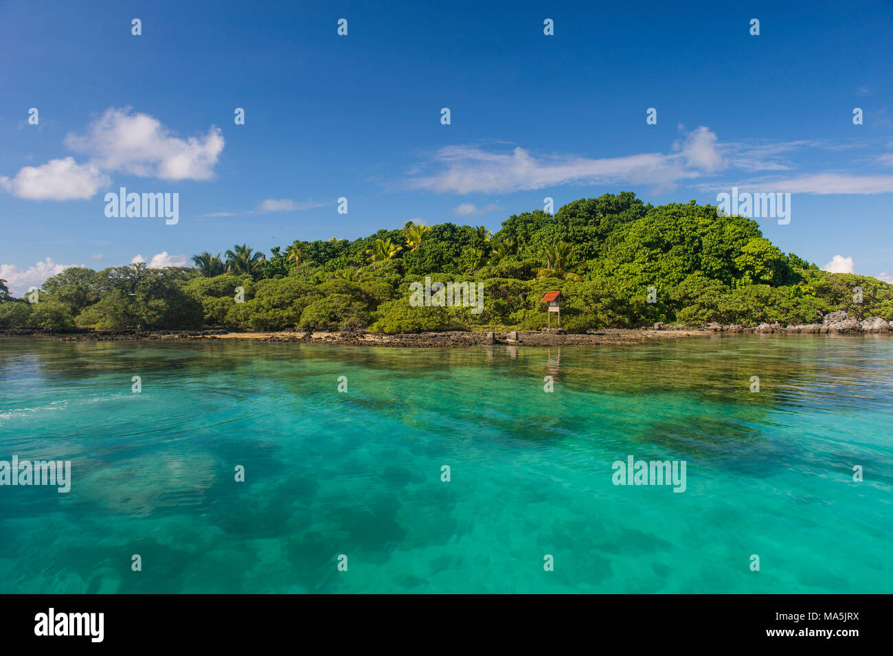 Les eaux claires 4,7G sur l'île Bird, Tikehau, Tuamotu, Polynésie Française Banque D'Images