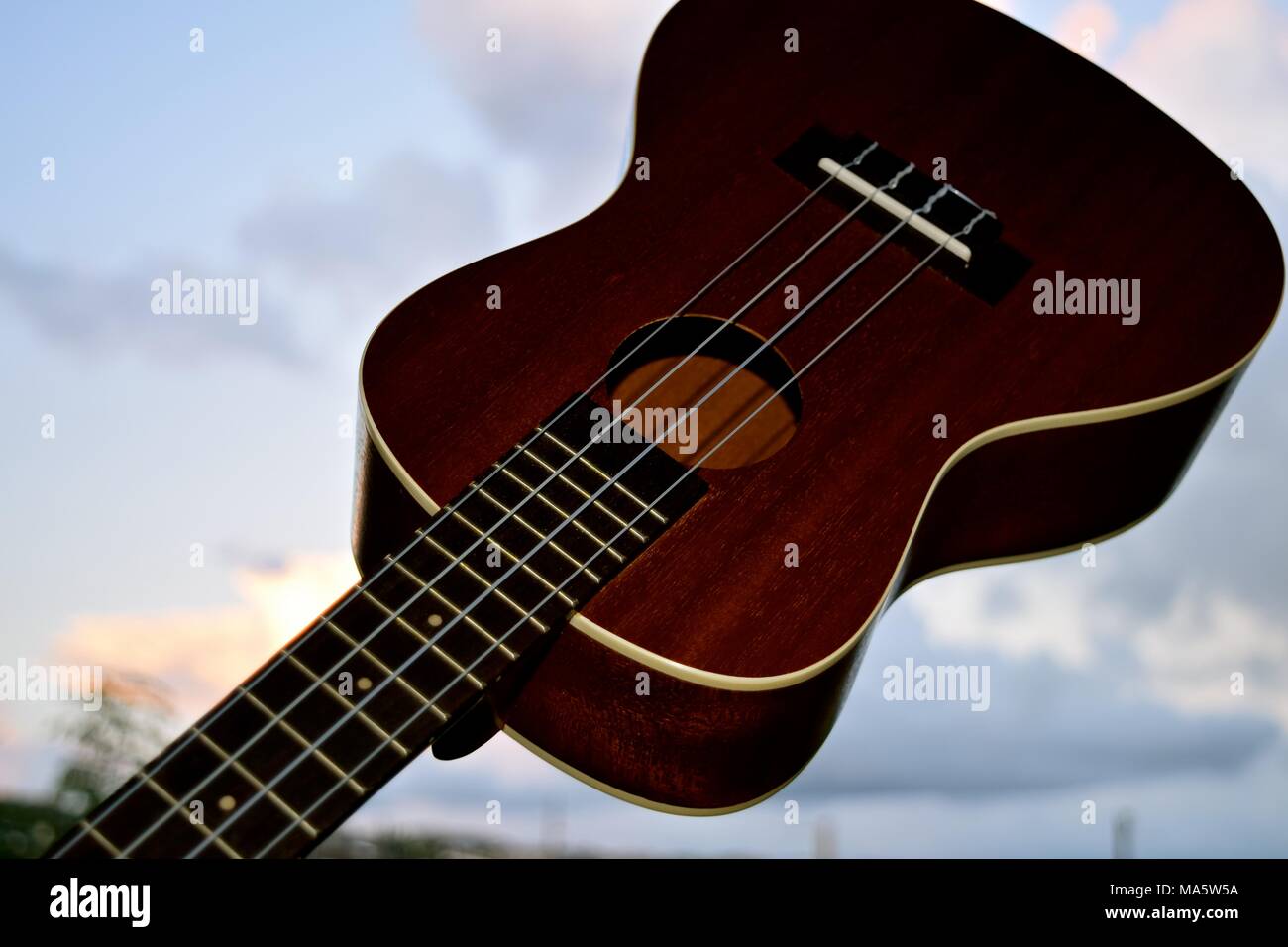 L'adaptation de l'ukulélé hawaiien portugais machette, une petite guitare comme instrument. Banque D'Images