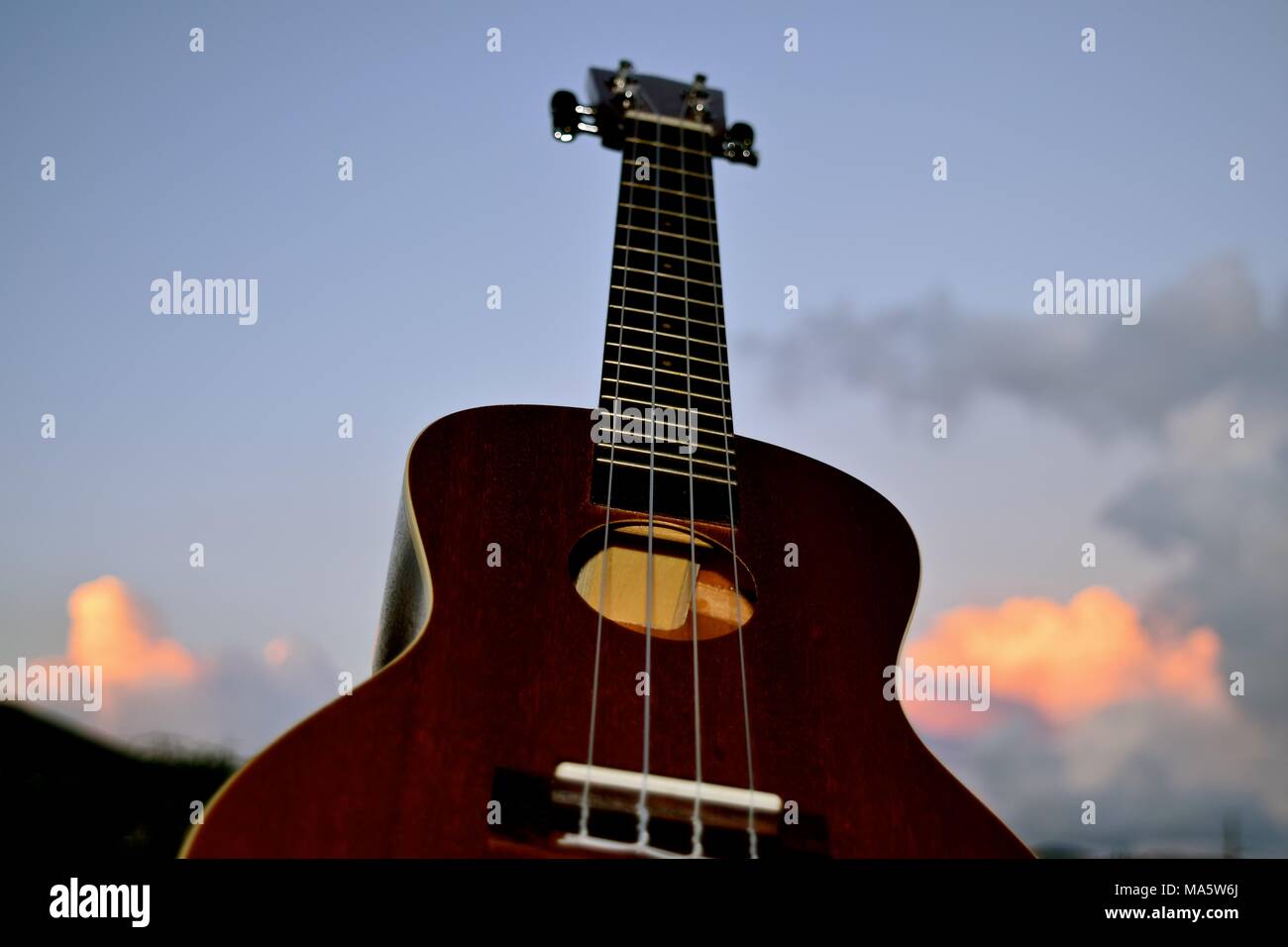 L'adaptation de l'ukulélé hawaiien portugais machette, une petite guitare comme instrument. Banque D'Images