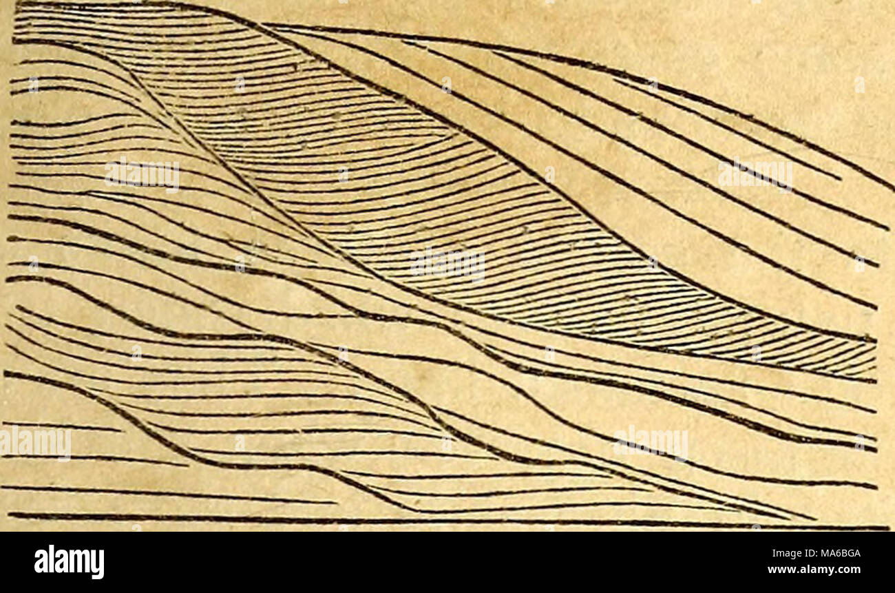 . Éléments de géologie Banque D'Images