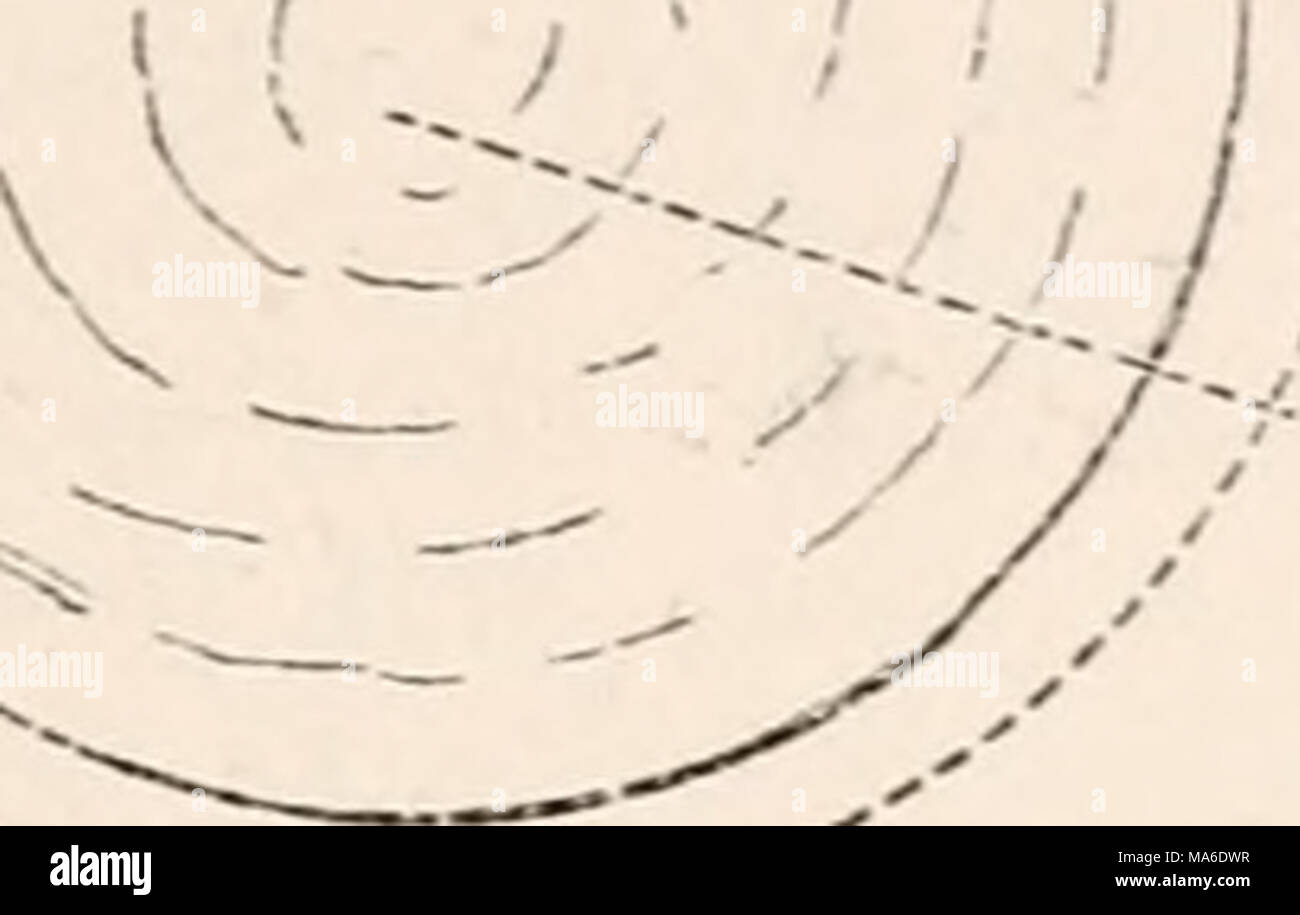 . Les éléments d'embryologie Banque D'Images