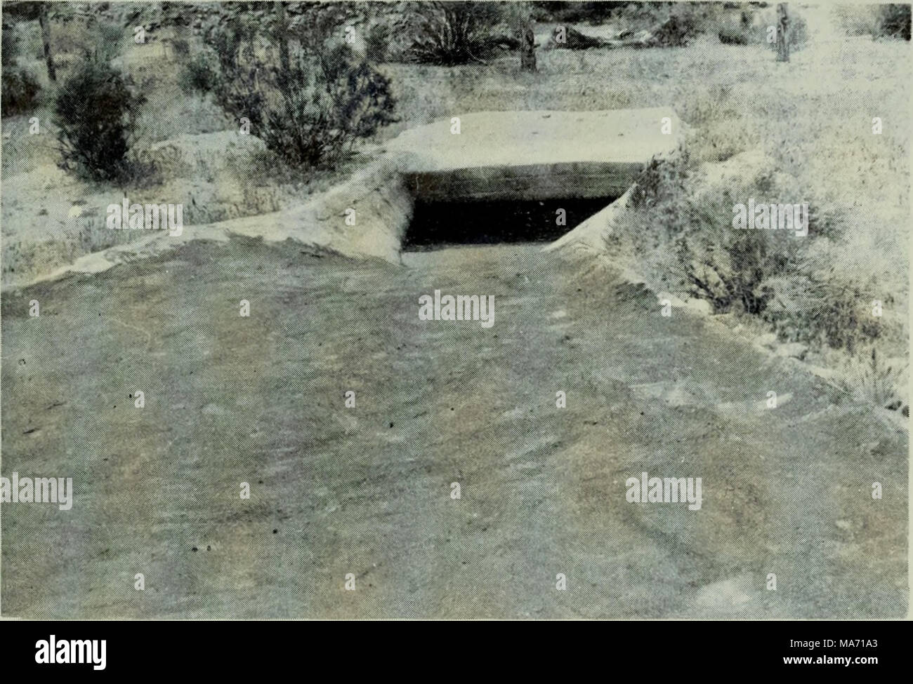 . Les effets de l'eau sur le développement des populations dans le sud-ouest de la Caille de Gambel Utah . La figure 12. Ouvert en béton-hasin type d'eau de pluie. Banque D'Images