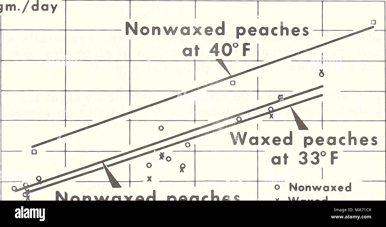 . Effets de la température de stockage et de l'humidité sur la perte de poids par fruit . Nonwaxed les pêches à 33° F 1111 1 i i i i i i x d Nonwaxed ciré à 40°F i i i i Vap. Prés. Def. 0,0 0,25 0,50 0,75 1,00 1,25 1,50 (mm Hg.) Rel. Hum. 100,0 94,7 89,3 84,0 78,6 73,2 67,3 à 33°F ( %) Rel. Hum. 100,0 95,9 91,9 87,8 83,7 79,7 75,6 à 40°F ( %) DÉPARTEMENT AMÉRICAIN DE L'AGRICULTURE NEG. AMS 121-62(1) SERVICE DE LA COMMERCIALISATION AGRICOLE Figure 4 - 7 - Banque D'Images