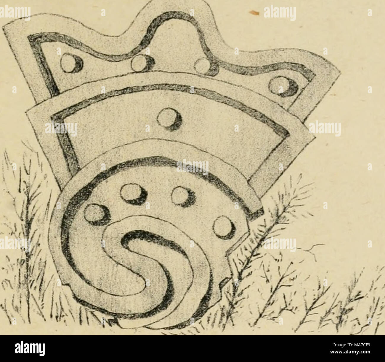 . El algodón en México . Lám 9  ^ % vs Lám. 10 / / :/". Banque D'Images