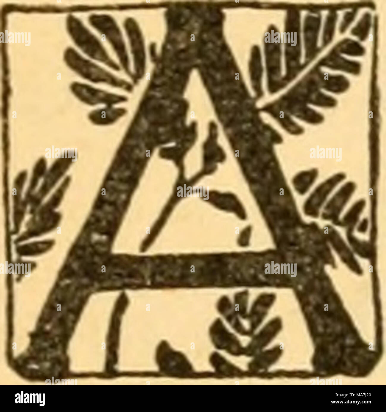 . Oeufs : faits et les fantaisies d'eux . Préservation des oeufs. IR et la chaleur sont les deux agents principaux dans la décomposition des oeufs, comme de toutes les substances animales. Presque tout ce qui peut exclure l'air de l'œuf contribuera à sa préservation, à condition d'être conservés dans un endroit frais et en position verticale, de manière à ce que le jaune ne doit pas adhérer à la coquille. Il n'est généralement pas souhaitable de préserver les œufs pour les marchés, puisque l'article frais apporte toujours de meilleurs prix ; mais frugal de ménage lorsque les œufs sont bas dans le prix peut fournir une sup- ply pour l'hiver lorsque les prix du marché double. Les oeufs peuvent chaulé Banque D'Images