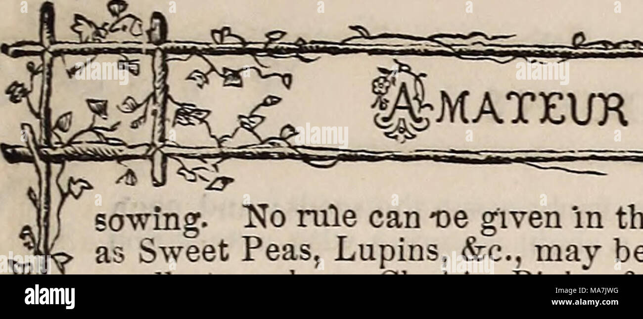. Fred E. Washburn's amateur guide du cultivateur à la fleur &AMP ; cuisine jardin pour 1880 . ^MATEUK pULTIVATOK ^La UIDi :. le semis. Pas de règle peut -oe m donné cet égard ; mais, comme un guide général, toutes les grosses graines, sucli comme les petits pois, lupins, &amp;c., peuvent être semées d'une demi-pouce de profondeur,â"plus petit, moins ; et pour les plus petits, tels que Clarkia, roses, &amp;c., une couverture d'un seizième de pouce suffit. Si semé trop profondes, elles sont plus longues à germer, et sont susceptibles à la carie. Éviter l'erreur de semer les graines trop épais ; comme il cause une forme allongée et la croissance, qui l'absence d'une Banque D'Images