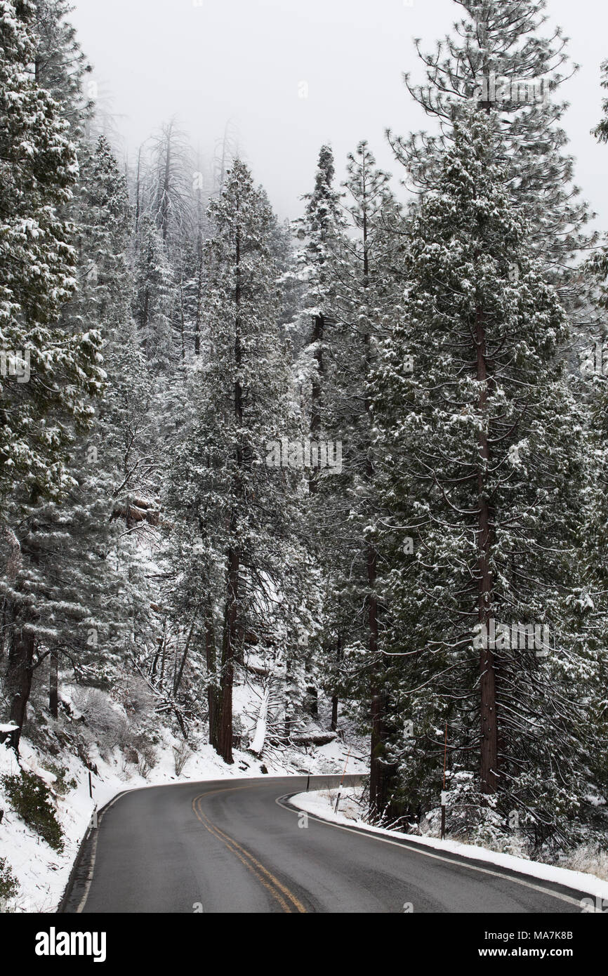 Parc National de Yosemite en hiver Banque D'Images