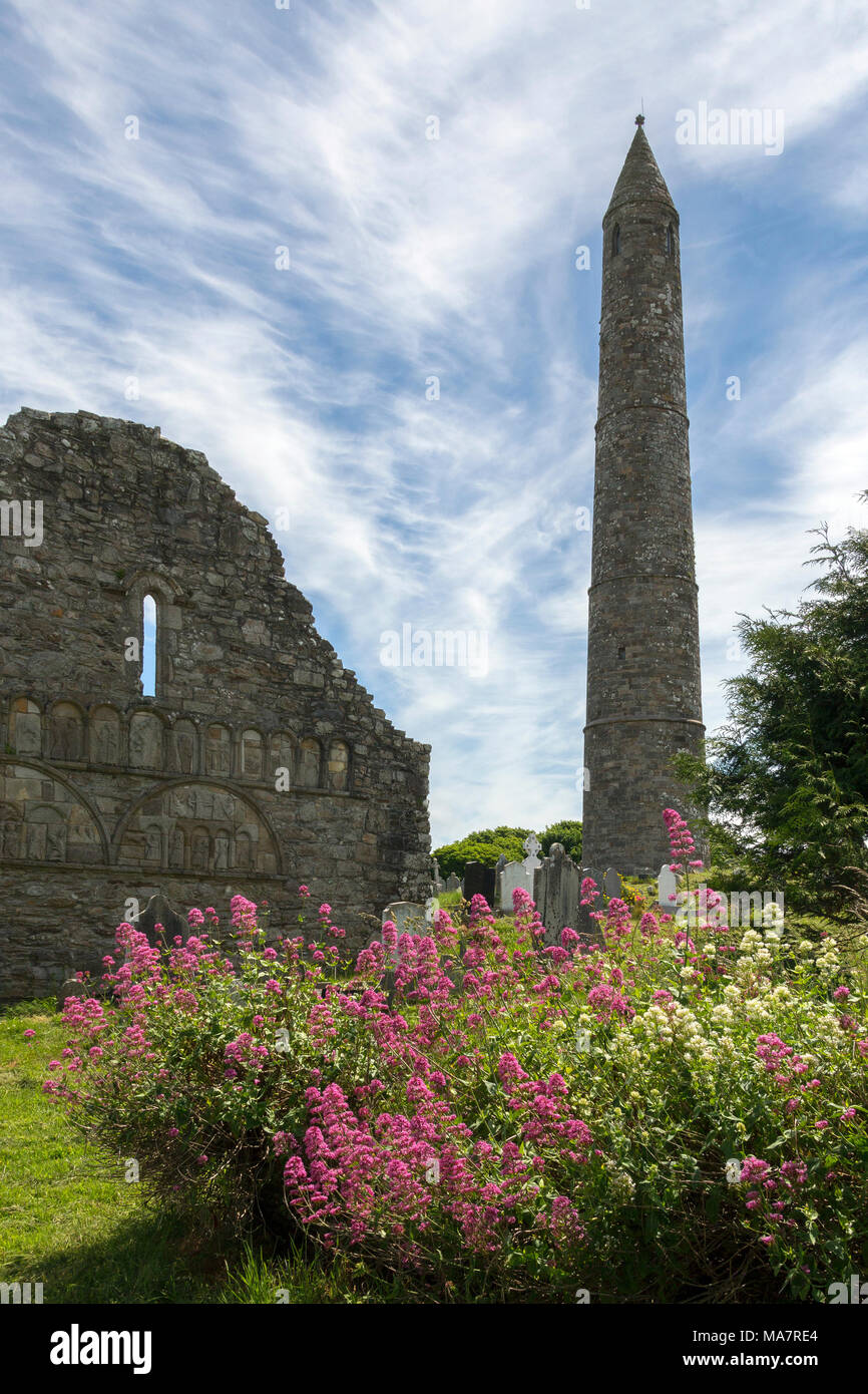 Les ruines de la cathédrale de Ardmore et tour ronde, comté de Waterford en Irlande. Banque D'Images