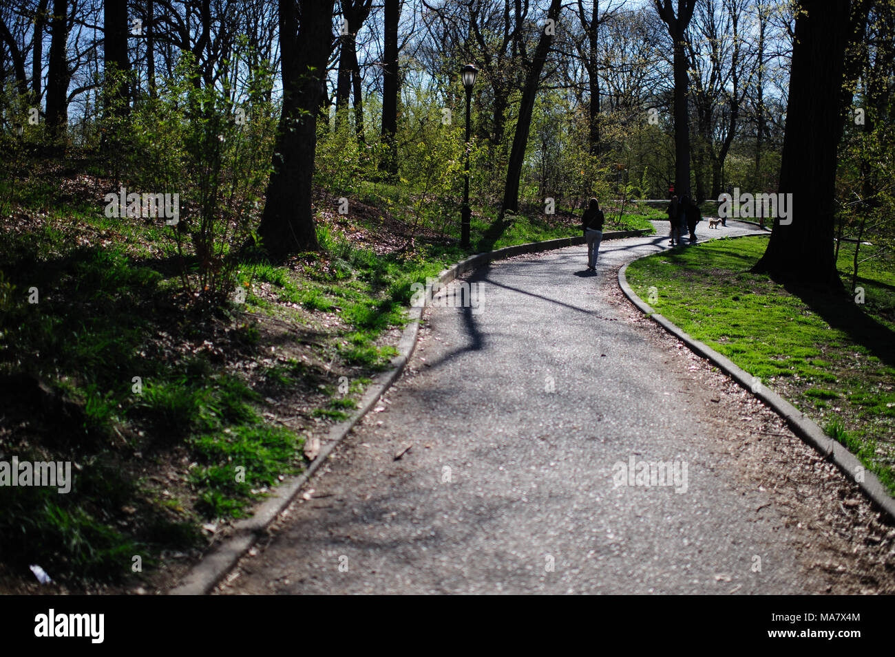La ligne des arbres un sentier de randonnée dans la région de Prospect Park, Brooklyn, New York, avril 2013. Banque D'Images